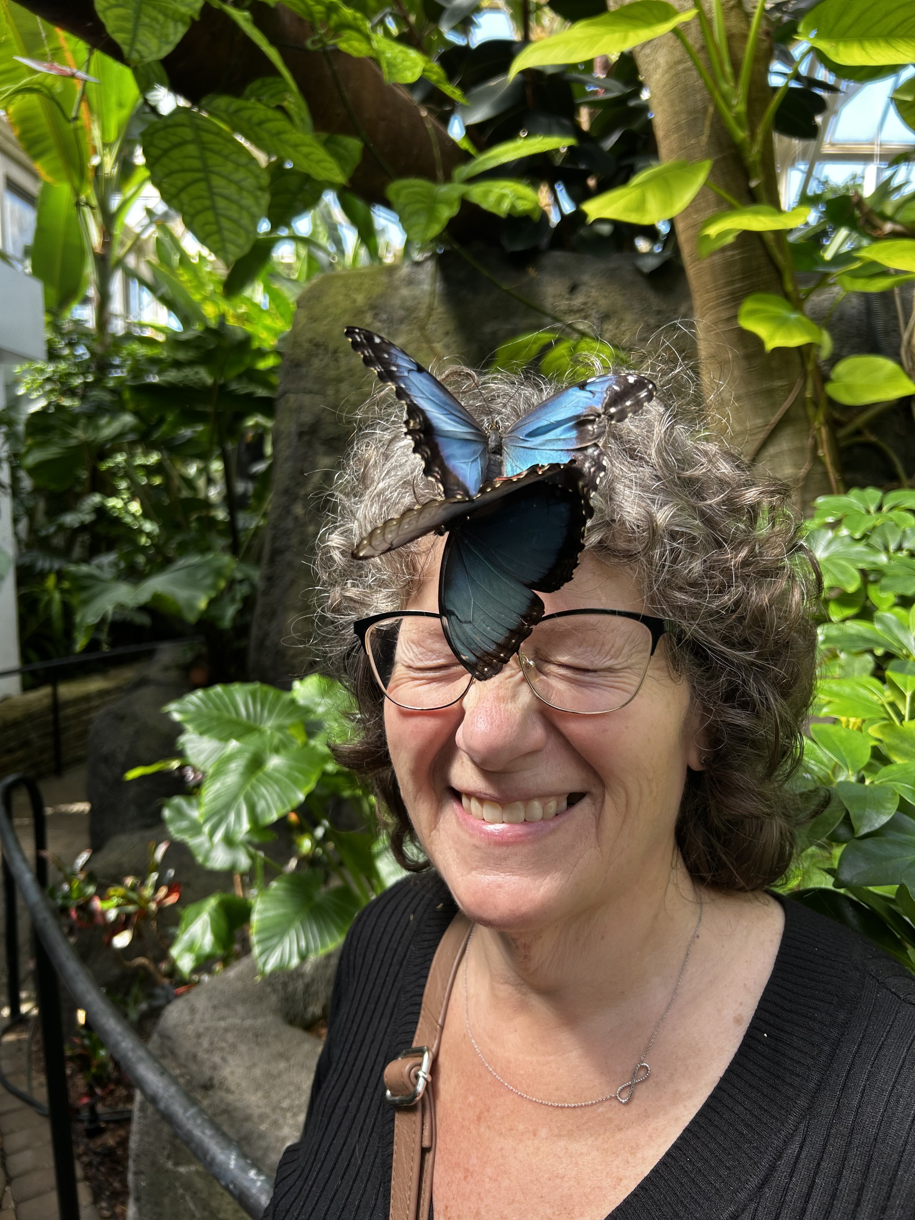Butterfly on head